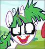 stewpid Avatar