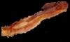 AmericanBacon Avatar
