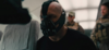 wildcardyeehaw Avatar