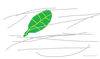 leafonthewind Avatar