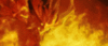 rareabsolution Avatar