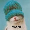 immacoolcat Avatar