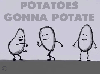 coolpotato Avatar