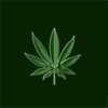 GreenGrinder Avatar
