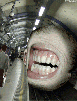 dualdeath Avatar