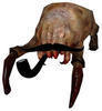monsieurheadcrab Avatar
