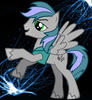bravethunda Avatar