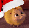 ihazaccount Avatar