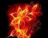 fireblazing Avatar