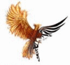 fireyphoenix Avatar