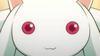 sweetcatz Avatar