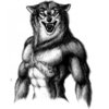 TheRedWoIf Avatar