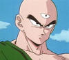 tienshinhan Avatar