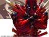toamax Avatar