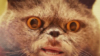 rhblink Avatar