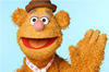 fozzybearo Avatar