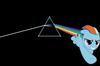 djchrssychrs Avatar