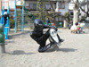 tigerrider Avatar