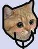 Phys Avatar