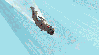 thrackajacka Avatar
