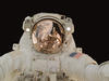 arcticastronaut Avatar
