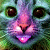 mtflyer Avatar