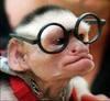 greazymonkey Avatar