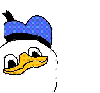 cashewnott Avatar