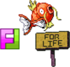 magikarpforlife Avatar
