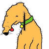 pruto Avatar