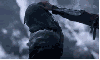 bayoufreak Avatar