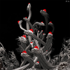 antiphates Avatar