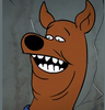 magceral Avatar