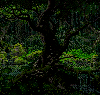 omoshiroi Avatar