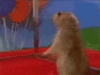 myhamsterisaliar Avatar