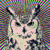eldry Avatar