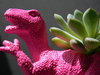 jellyraptorz Avatar
