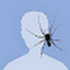 weefee Avatar
