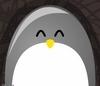 airpenguin Avatar