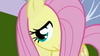 tinydancerbeware Avatar