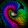 gazim Avatar