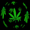 jukum Avatar
