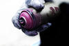 djzboy Avatar