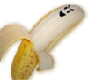 elhippyripper Avatar
