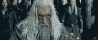 iwinbattletoad Avatar