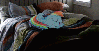 slekcirca Avatar