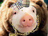 mandempig Avatar