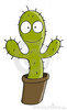 supercactus Avatar