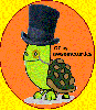 awsometurtles Avatar