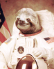 slumberdonkey Avatar